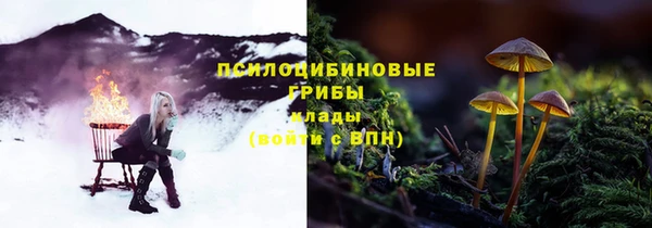 первитин Абинск