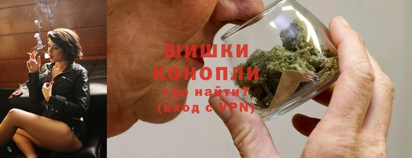 ГАЛЛЮЦИНОГЕННЫЕ ГРИБЫ Абаза