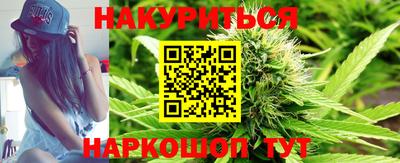 шишки Гусиноозёрск