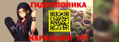 бошки Гусь-Хрустальный