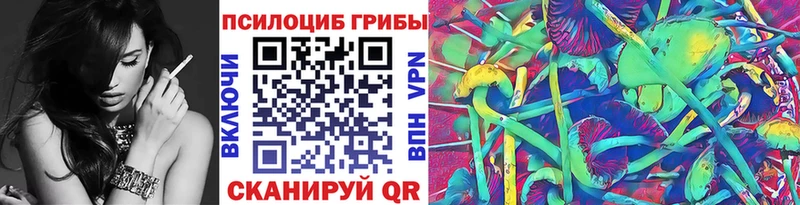 Псилоцибиновые грибы Psilocybine cubensis  Рязань 
