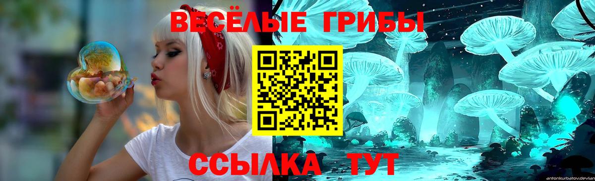 Псилоцибиновые грибы мицелий  Вход с VPN  Рязань  Галлюциногенные грибы GOLDEN TEACHER 
