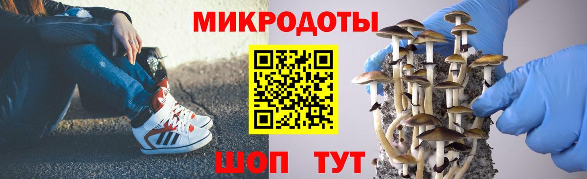 Галлюциногенные грибы Psilocybine cubensis Рязань